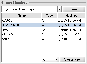 Project Explorer