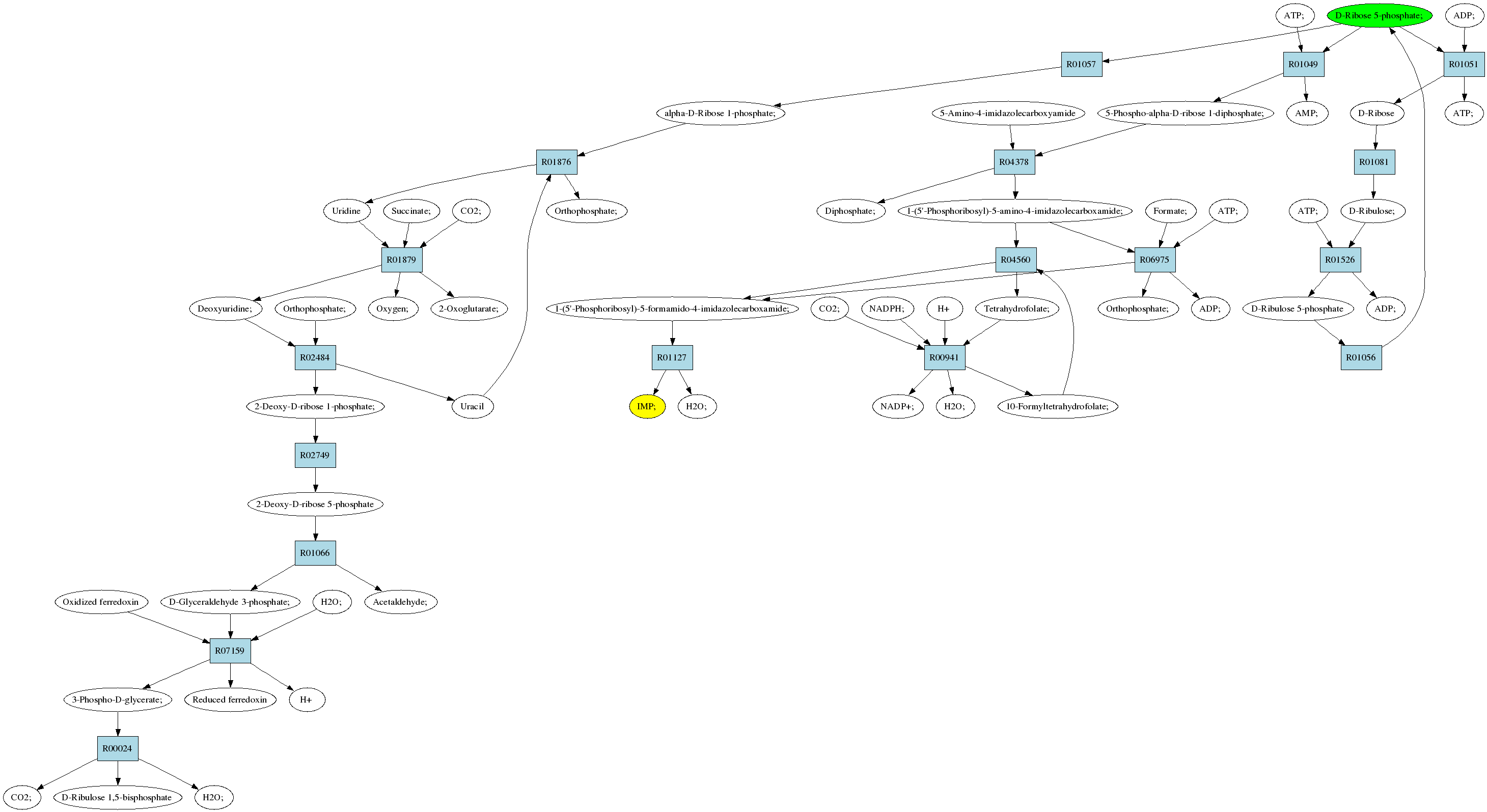 Drawing Molecular Diagrams Of Glucose Ribose A Saturated