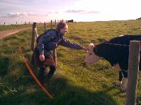 Johanna with cow