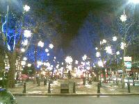 Christmas lighting on Sloane Square (2)