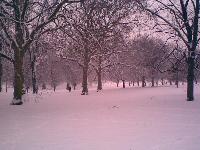 Snow in Hyde Park